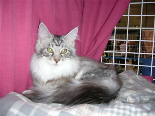 Kuva 18.9.07 138.jpg